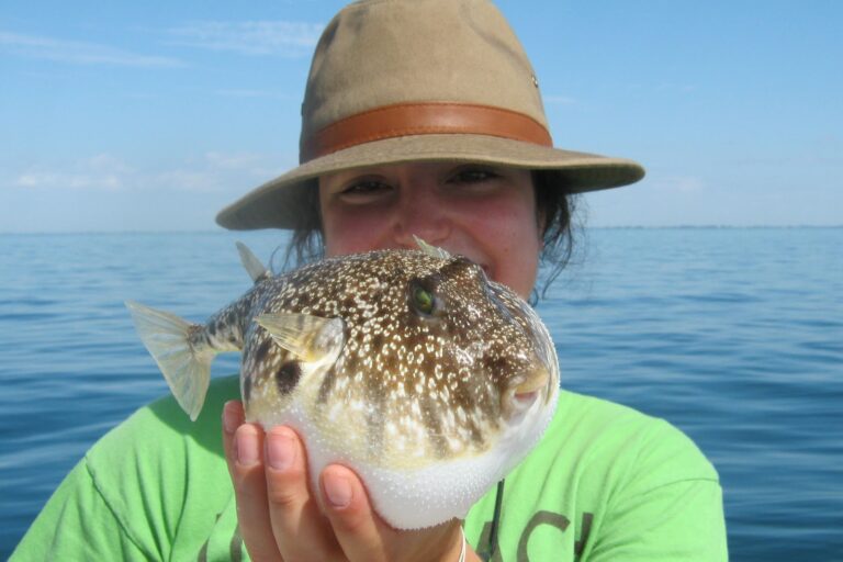 Inshore and offshore fishing is gearing up