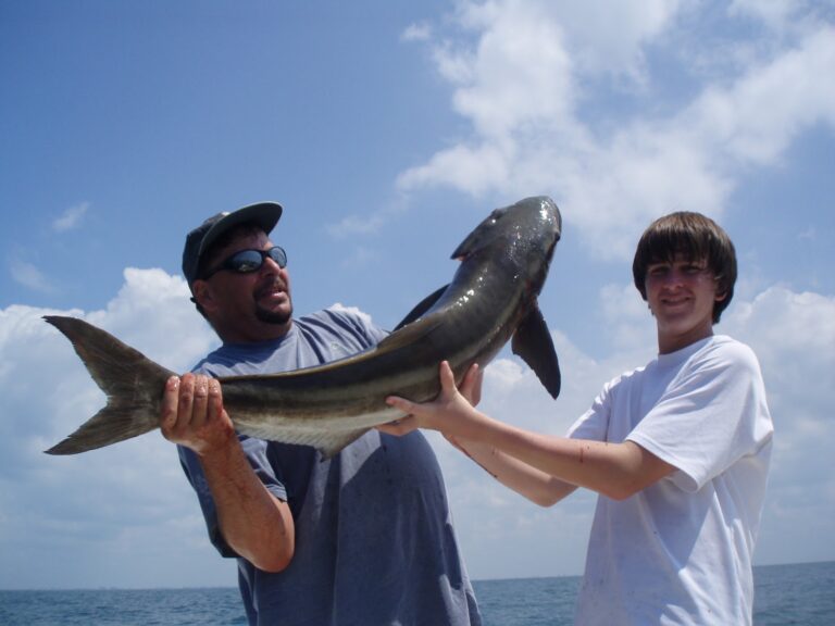 Recent fishing photos