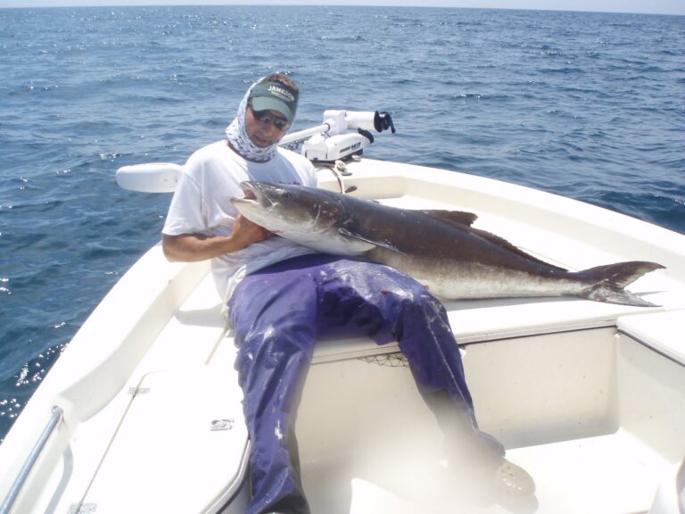 Sarasota Charter Fishing