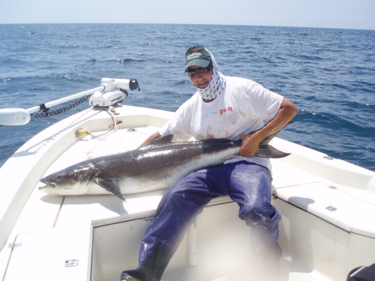 Big Cobia