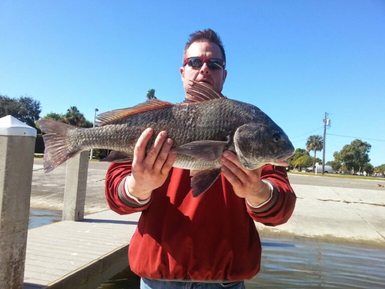 Review: Sarasota Fishing with Drag-On Charters