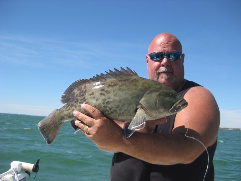 Grouper are in season
