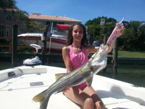 Snook Caught at a Sarasota Dock — Drag-On Charters