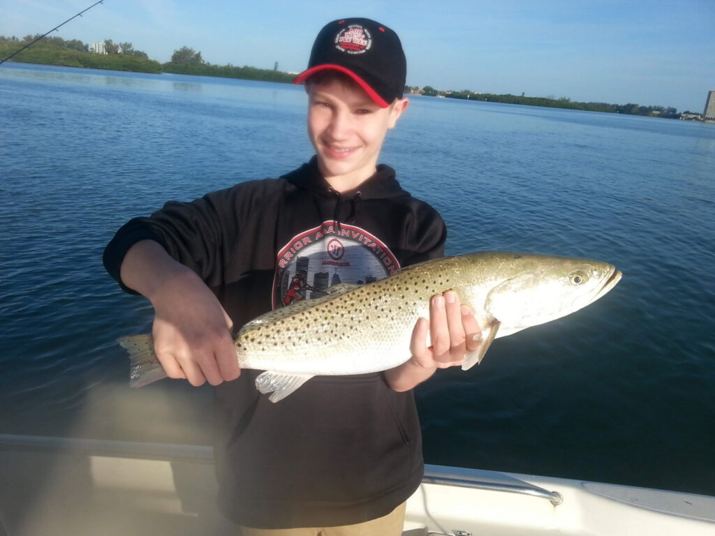 Young angler holding a spotted sea trout caught in Sarasota Bay on an inshore fishing charter, mangroves visible in the background