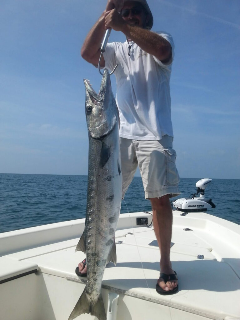 Angler holding a large great barracuda vertically on a Sarasota offshore fishing charter, open blue Gulf water in the background