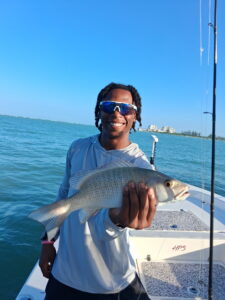 Keeper Mangrove Snapper – Sarasota Bay Inshore Charter