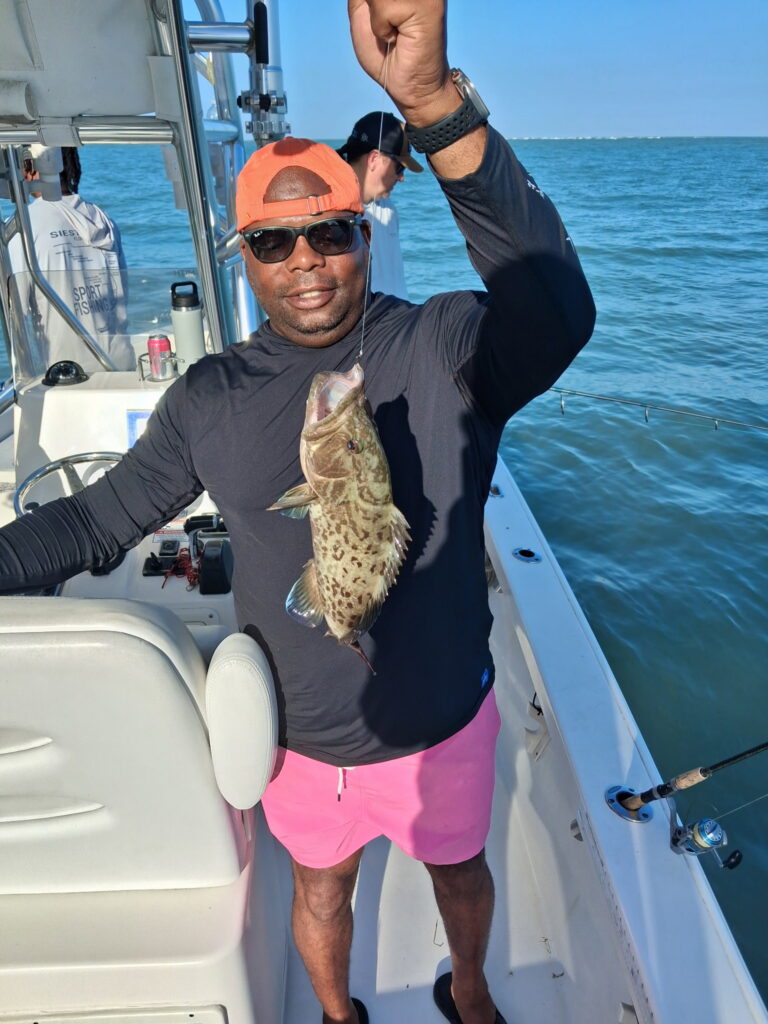 Charter guest holding a gag grouper caught on an inshore fishing charter in Sarasota Bay, Florida