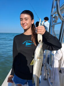 Snook Catch – Sarasota Bay Inshore Charter