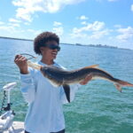 Young angler holding a cobia caught on a 4-hour inshore fishing charter in Sarasota Bay, Florida