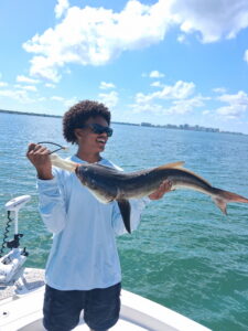 Cobia Catch – Sarasota Bay Inshore Fishing Charter