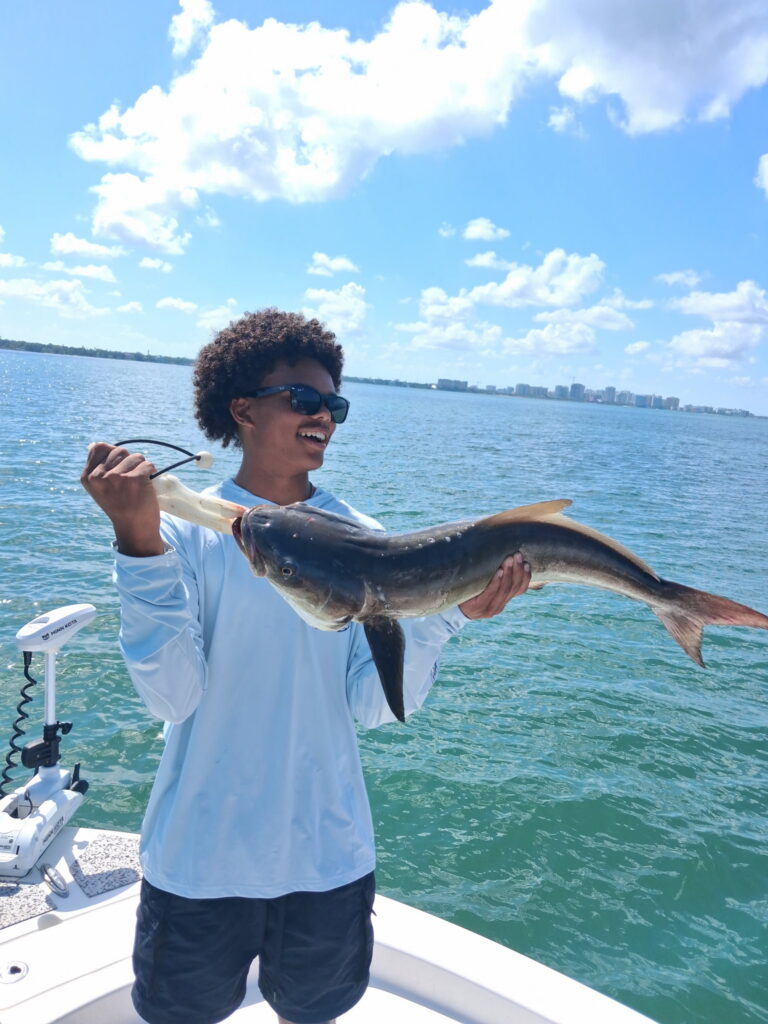 Young angler holding a cobia caught on a 4-hour inshore fishing charter in Sarasota Bay, Florida