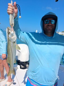 Snook – Sarasota Bay Inshore Fishing Charter