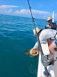 Goliath Grouper Boatside – Offshore Fishing Charter Sarasota FL